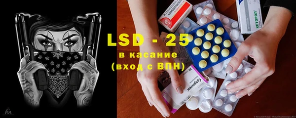 ГАЛЛЮЦИНОГЕННЫЕ ГРИБЫ Гусь-Хрустальный