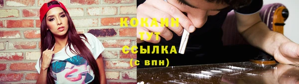ГАЛЛЮЦИНОГЕННЫЕ ГРИБЫ Гусь-Хрустальный