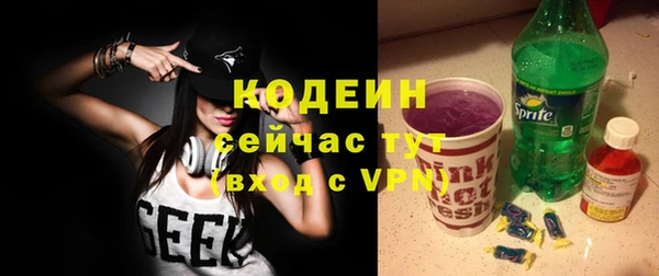 ГАЛЛЮЦИНОГЕННЫЕ ГРИБЫ Гусь-Хрустальный