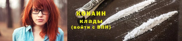 дживик Гусиноозёрск