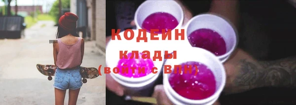 ГАЛЛЮЦИНОГЕННЫЕ ГРИБЫ Гусь-Хрустальный