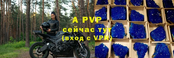 дживик Гусиноозёрск