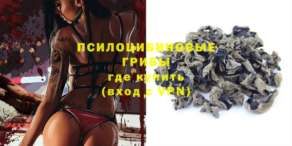 дживик Гусиноозёрск