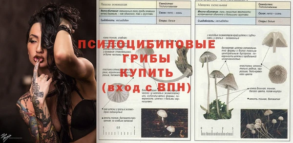 дживик Гусиноозёрск